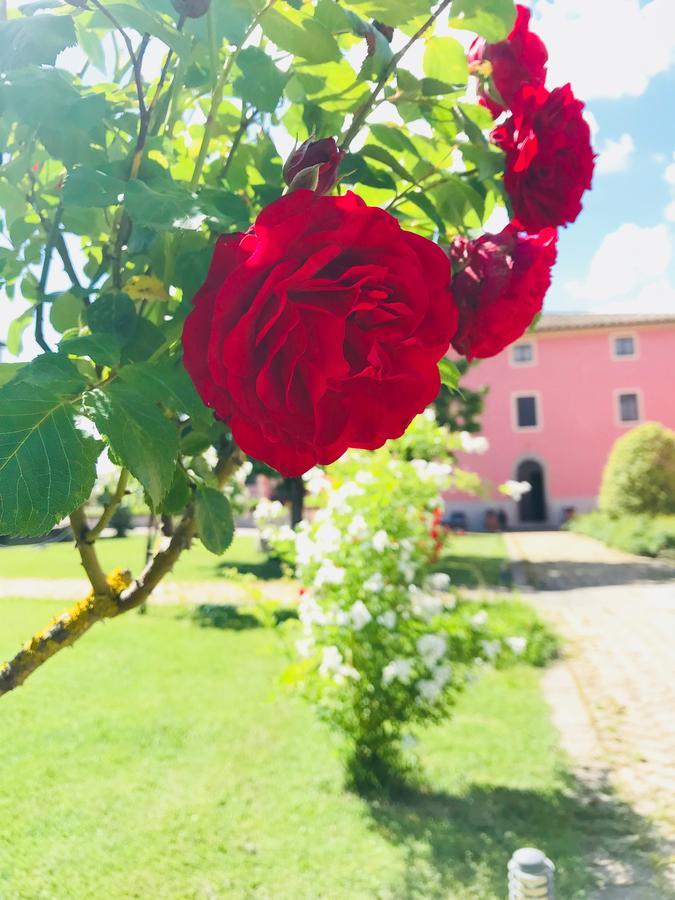 Antico Borgo De Romolini Villa Sansepolcro Eksteriør bilde